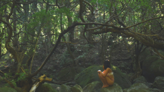 alt="To be healed by the nature of Yakushima"