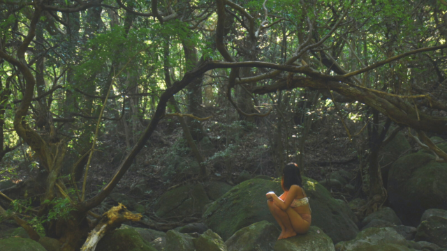 alt="To be healed by the nature of Yakushima"