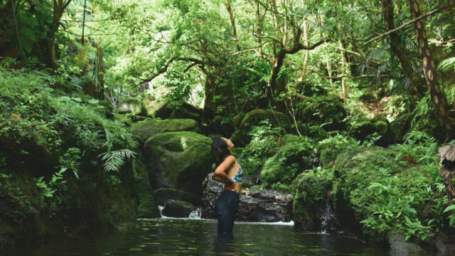 alt="西表島のジャングルの中の私"