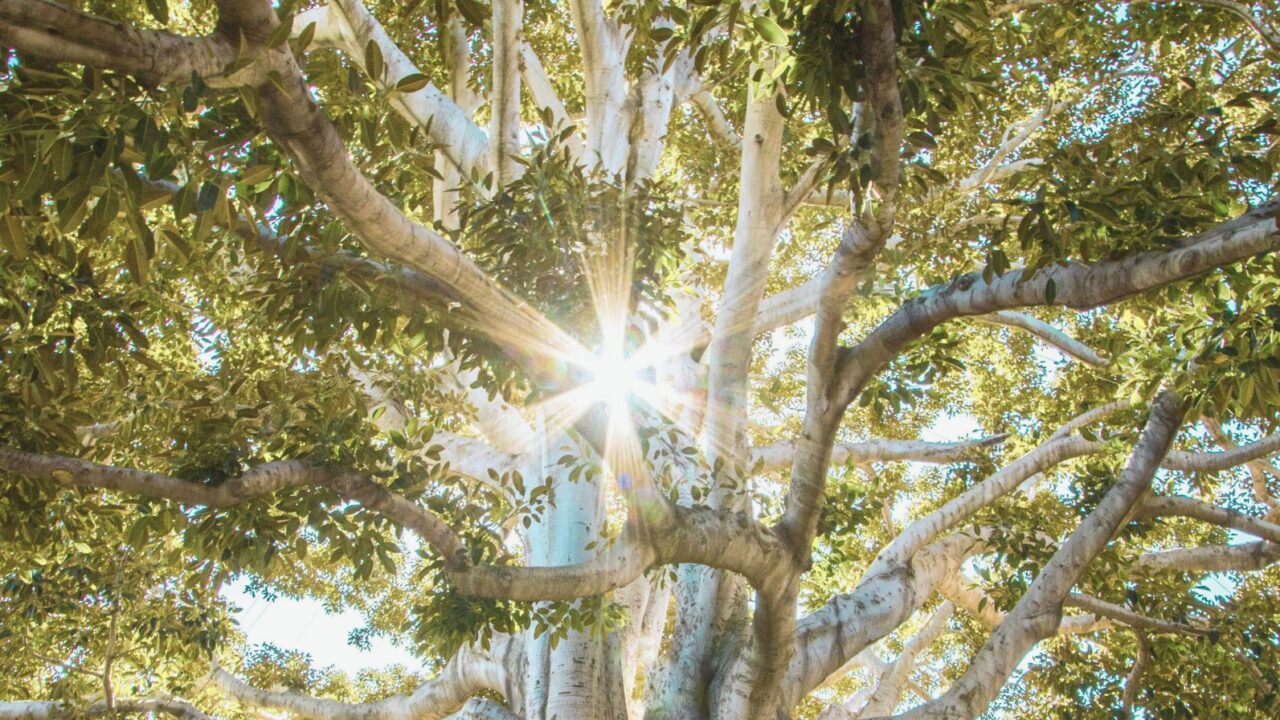 alt=Toward the light of hope"